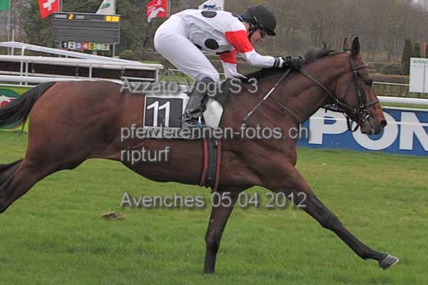 Azzato Vogt S 3 prot